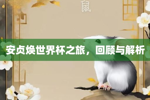安贞焕世界杯之旅，回顾与解析