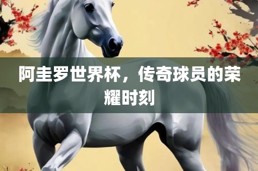 阿圭罗世界杯，传奇球员的荣耀时刻