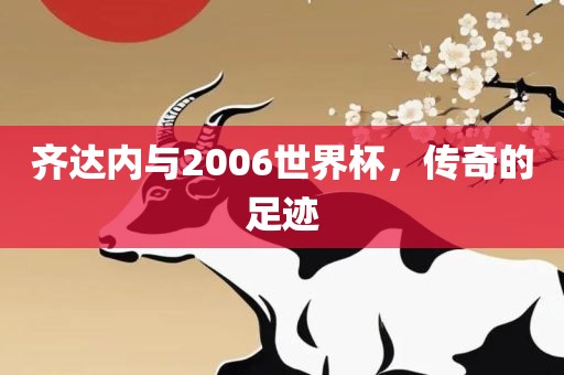 齐达内与2006世界杯，传奇的足迹