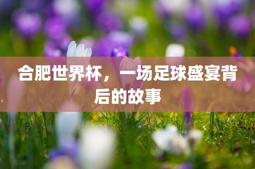 合肥世界杯，一场足球盛宴背后的故事眉山市正发家政服务有限公司