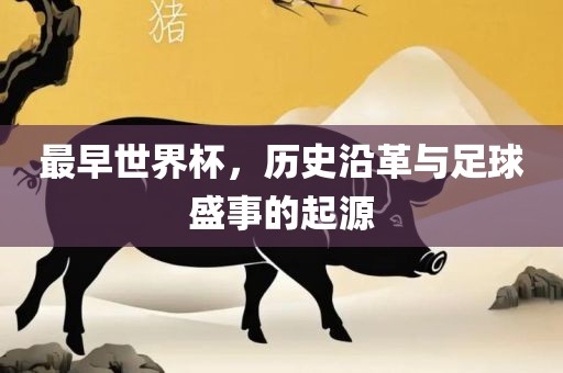 世界杯历史沿革