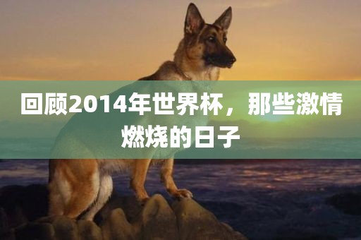 回顾2014年世界杯，那些激情燃烧的日子