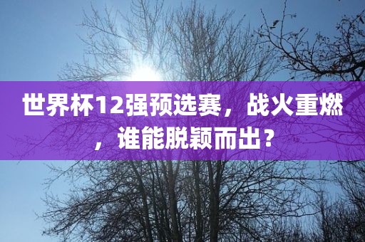 世界杯12强预选赛，战火重燃，谁能脱颖而出？