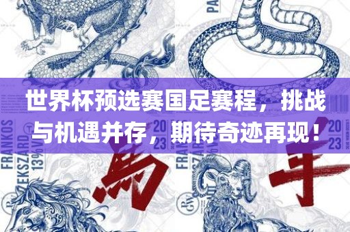 世界杯预选赛国足赛程，挑战与机遇并存，期待奇迹再现！
