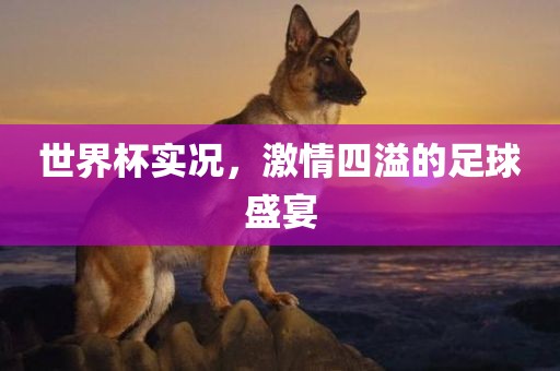 世界杯实况，激情四溢的足球盛宴眉山市正发家政服务有限公司