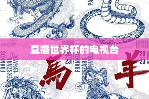 直播世界杯的电视台眉山市正发家政服务有限公司