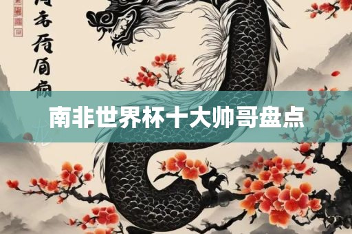 南非世界杯十大帅哥盘眉山市正发家政服务有限公司点