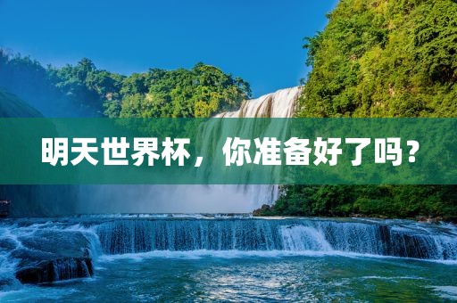 明眉山市正发家政服务有限公司天世界杯，你准备好了吗？