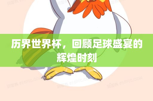 历界世界杯，回顾足球盛宴的辉煌时刻眉山市正发家政服务有限公司