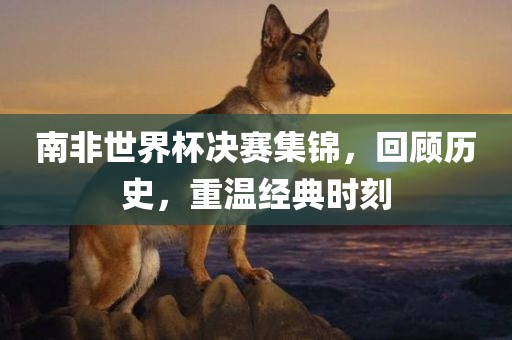 南非世界杯决赛集锦，回顾历史，重温经典时刻