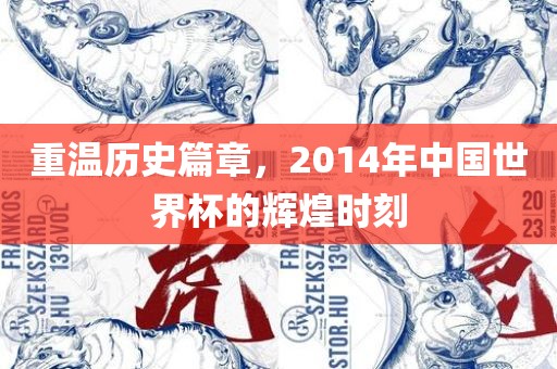 重温历史篇章，2014年中国世界杯的辉煌时刻