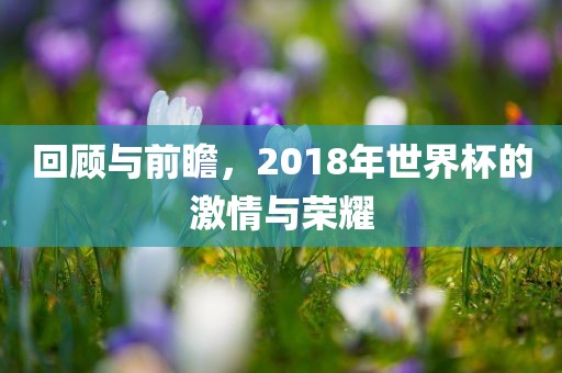 回顾与前瞻，2018年世界杯的激情眉山市正发家政服务有限公司与荣耀