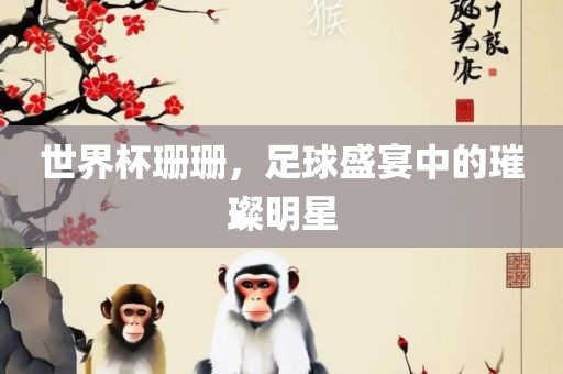 世界杯珊珊，足球盛宴中的璀璨明星
