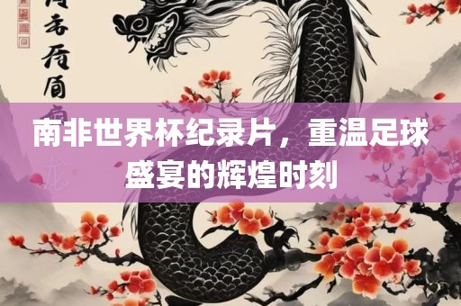 南非世界杯纪录片，重温足球盛宴的辉煌时刻
