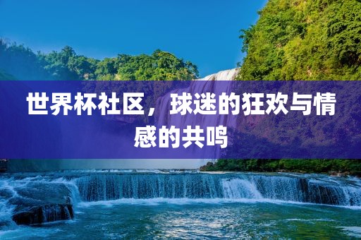 球迷狂欢 第3页