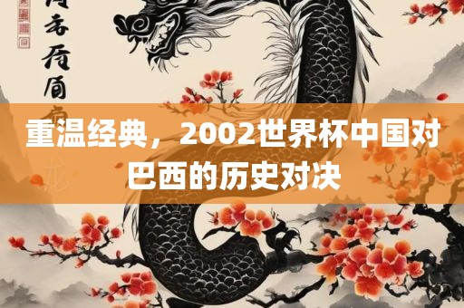 重温经典，2002世界杯中国对巴西的历史对决
