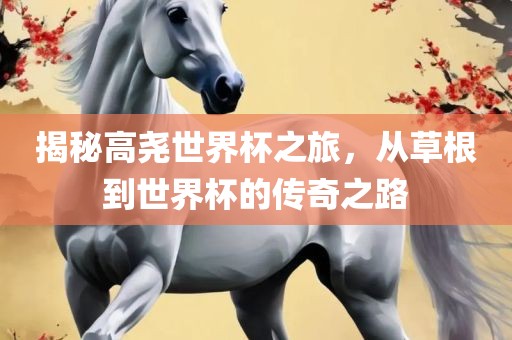 揭秘高尧世界杯之旅，从草根到世界杯的传奇之路