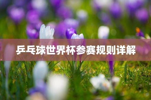 乒乓球世界杯参赛规则详解