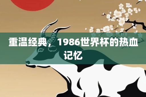 重温经典，1986世界杯的热血记忆