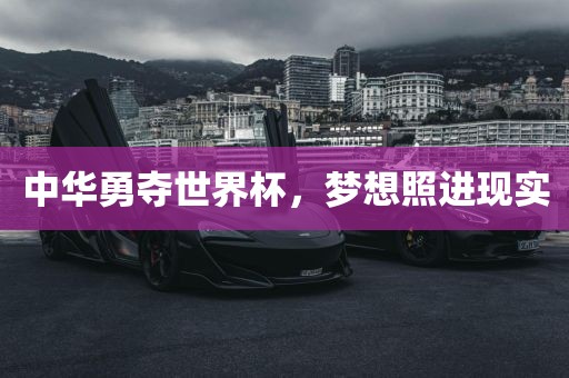 中华勇夺世界杯，梦想照进现眉山市正发家政服务有限公司实