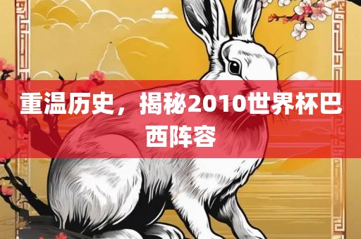 重温历史，揭秘2010世界杯巴西阵容