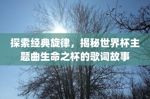 探索经典旋律，揭秘世界杯主题曲生命之杯的歌词故事