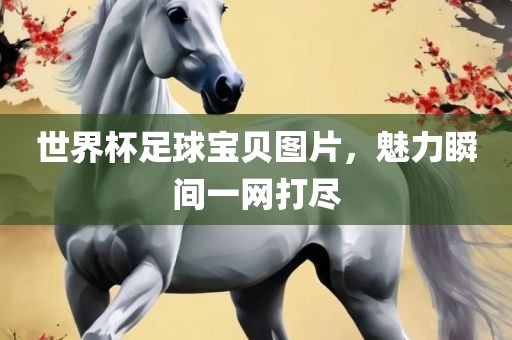 世界杯足球宝贝图片，魅力瞬间一网打尽