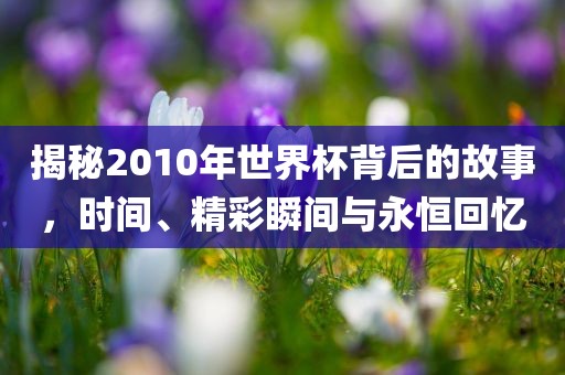 揭秘2010年世界杯背后眉山市正发家政服务有限公司的故事，时间、精彩瞬间与永恒回忆