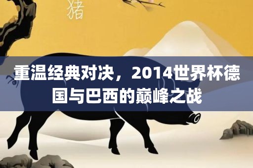 重温经典对决，2014世界杯德国与巴西的巅峰之战