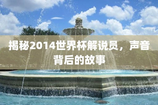揭秘2014世界杯解说员，声音背后的故事