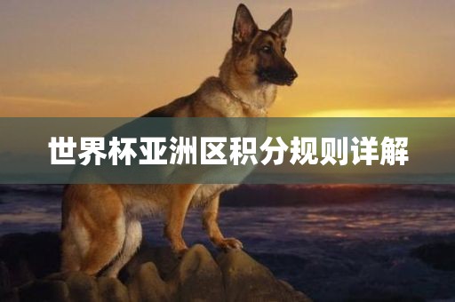 世界杯亚洲区积分规则详解