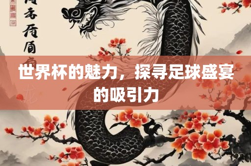 世界杯的魅力，探寻足球盛宴的吸引力