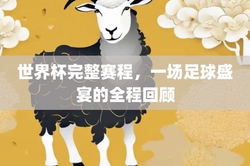 世界杯完整赛程，一场足球盛宴的全程回顾