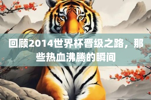 回顾2014世界杯晋级之路，那些热血沸腾的瞬间