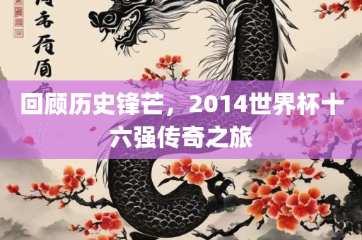 回顾历史锋芒，2014世界杯十六强传奇之旅