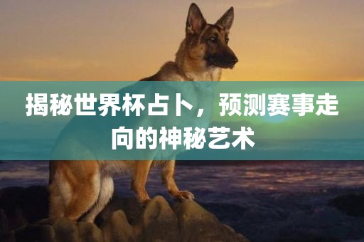 揭秘世界杯占卜，预测赛事走向的神秘艺术眉山市正发家政服务有限公司