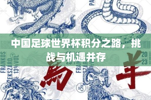 中国足球世界杯积分之路，挑战与机遇并存