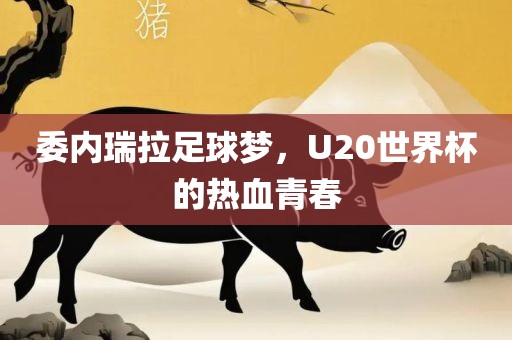 委内瑞拉足球梦，U20世界杯的热血青春