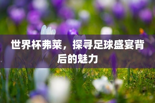 世界杯弗莱，探寻足球盛宴背后的魅力