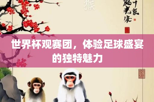 世界杯观赛团，体验足球盛宴的独特魅力眉山市正发家政服务有限公司