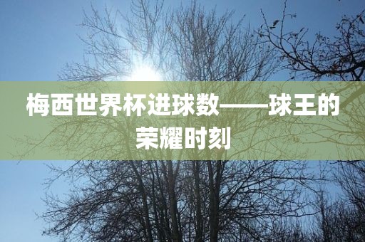 梅西世界杯进球数——球王的荣耀时刻眉山市正发家政服务有限公司