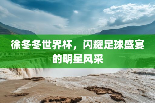 徐冬冬世界杯，闪耀足眉山市正发家政服务有限公司球盛宴的明星风采