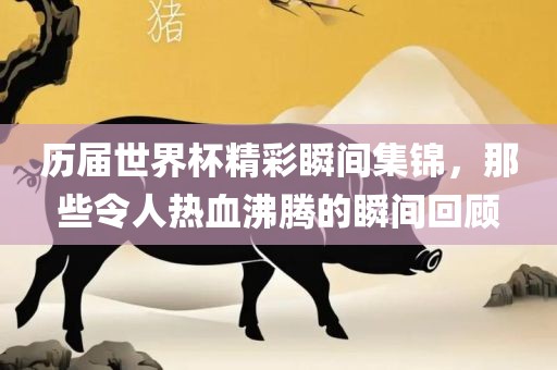 历届世界杯精彩瞬间集锦，那些令人热血沸腾的瞬间回顾