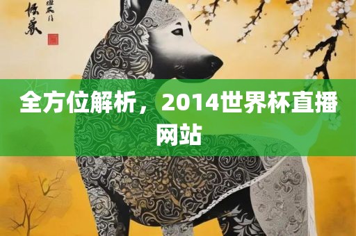 全方位解析，2014世界杯直播网站