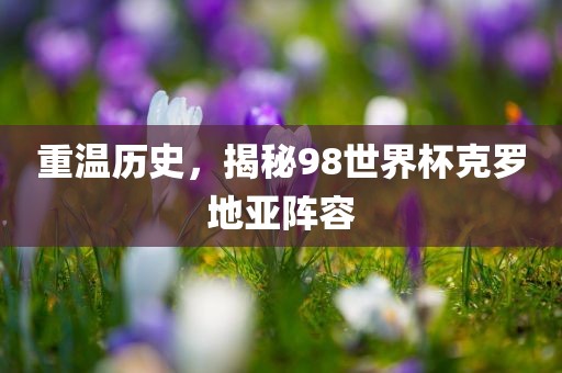 重温历史，揭秘98世界杯克罗地亚阵容眉山市正发家政服务有限公司