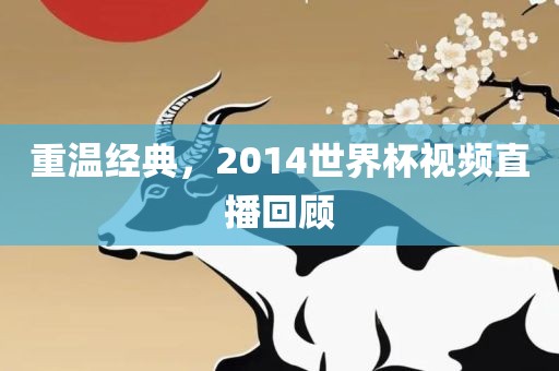 重温经典，2014世界杯视频直播回顾