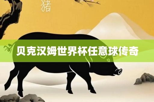 贝克汉姆世界杯任意球传奇