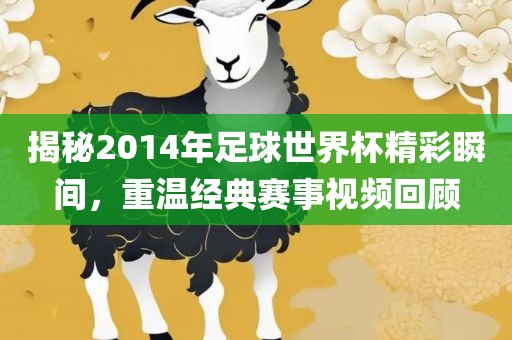 揭秘2014年足球世界杯精彩瞬间，重温经典赛事视频回顾
