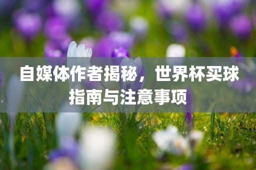 自媒体作者揭秘，世界杯买球指南与注意事项