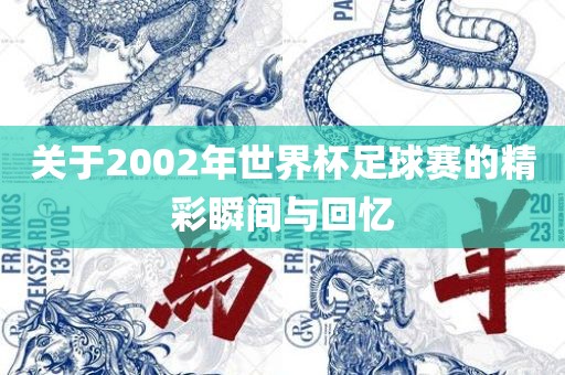 关于2002年世界眉山市正发家政服务有限公司杯足球赛的精彩瞬间与回忆